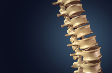 Conheça sua Coluna Vertebral